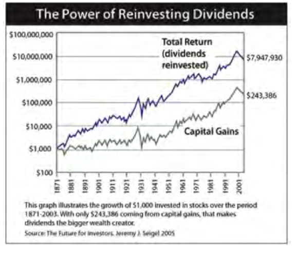 The Number One Dividend Truth I Swear By Dividends Income Daily