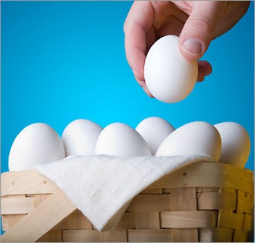 Put Your Eggs In Several Baskets Put Your Eggs In Several Baskets