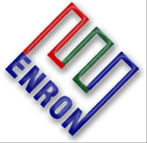 Enron Corporation Company Profile Information Business Description History Background