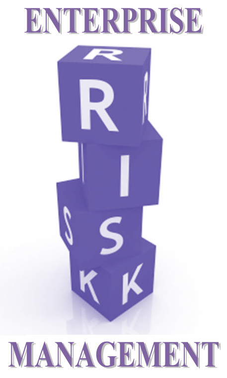 Enterprise Risk Management