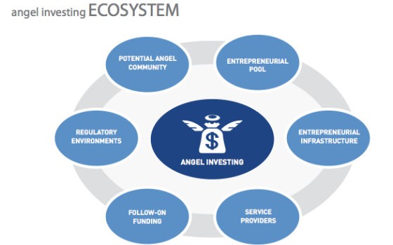 Expectations of an Angel Investor Expectations of an Angel Investor