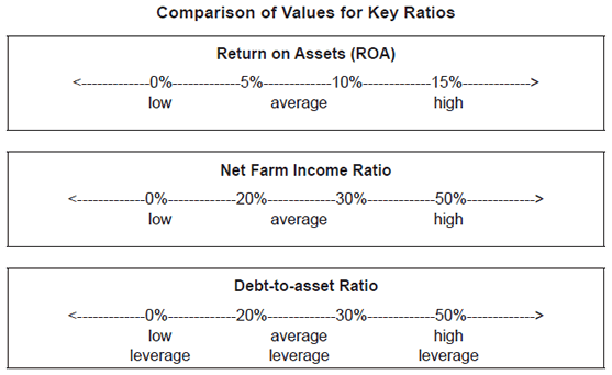 Financial Ratios and profitability measure