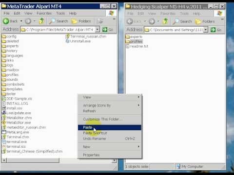 Forex Hedging Seed Strategy Kentucky
