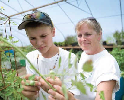 Greenhouses Invest Today for a Brighter Tomorrow