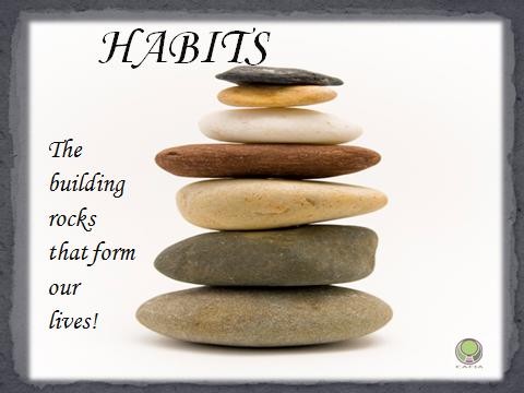 Habits and Success Habits and Success