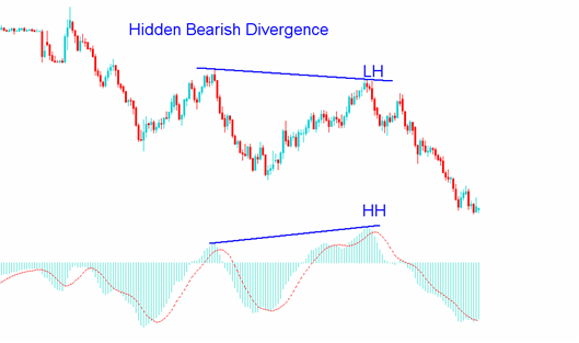 Hidden Divergence Report