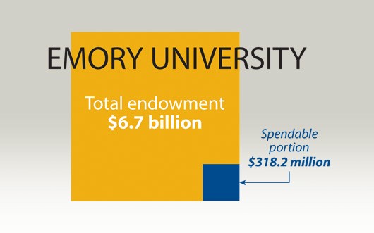 How do university endowments work