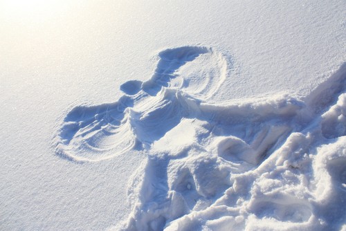 What Are Angel Investors Looking For What Are Angel Investors Looking For