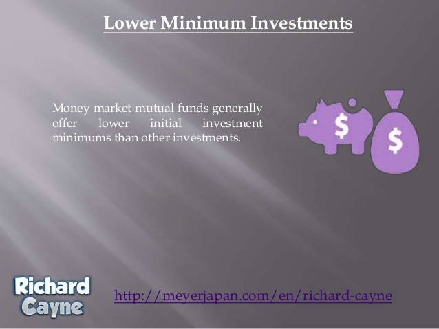 How Much Money Should You Invest in a Mutual Fund