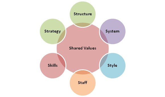 Human Capital Importance in an Organization