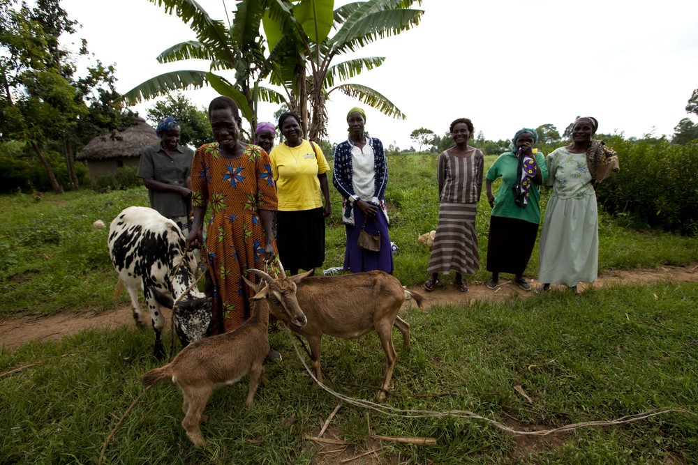 IFAD social reporting blog International Women s Day 2015 Empowering rural women to achieve food