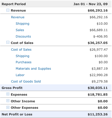 Income Statement (Profit and Loss Statement)