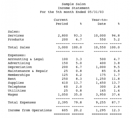 Income Statement (Profit and Loss Statement)