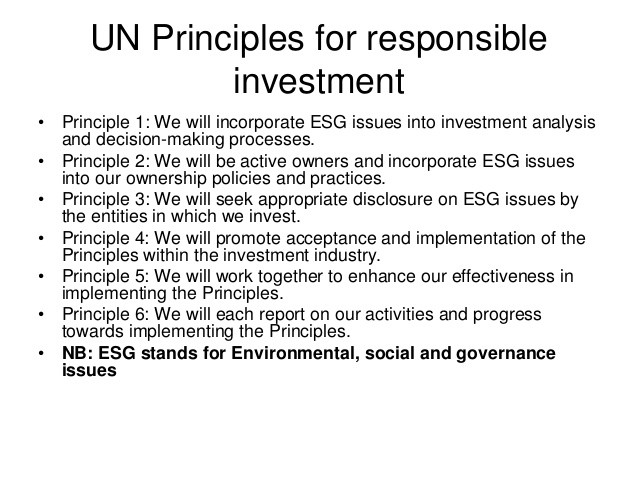 Incorporating Environmental Social and Governance (ESG) Analysis into the Investment Process