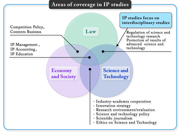 Intellectual Property Intangible Assets