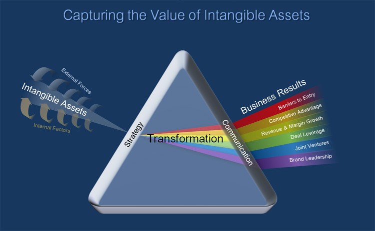 Intellectual Property Intangible Assets