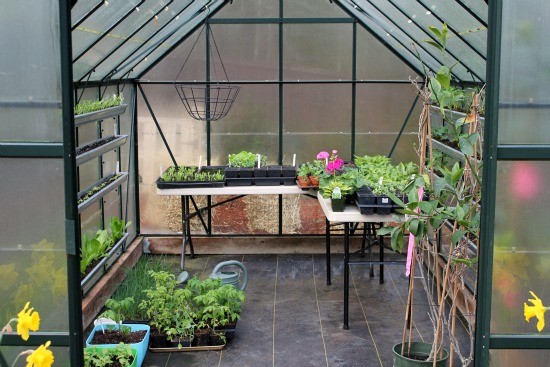 Invest in a Greenhouse