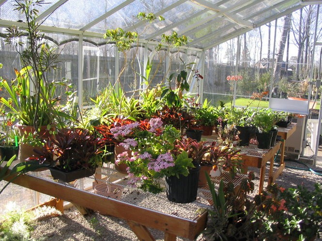 Invest in a Greenhouse