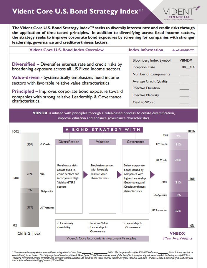 Invest With Principles Inside The International Equity Fund (VIDI)
