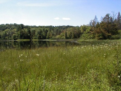 Land Loans What You Should Know Land Loans What You Should Know