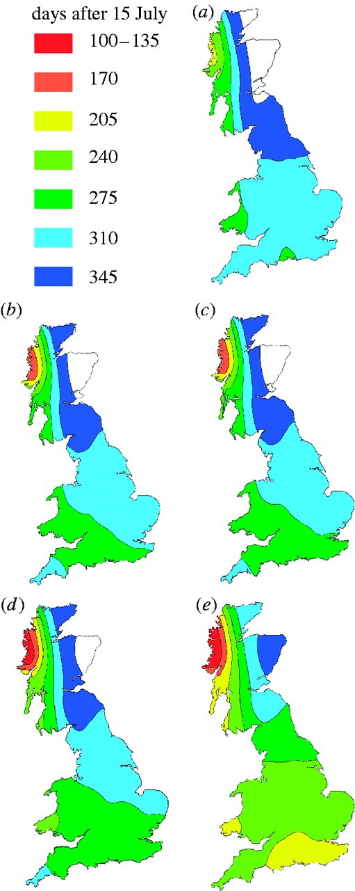 Observations The Impact of Starting P Observations The Impact of Starting P