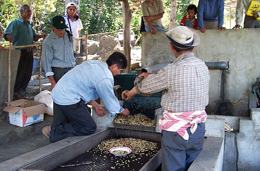 Peru Lessons