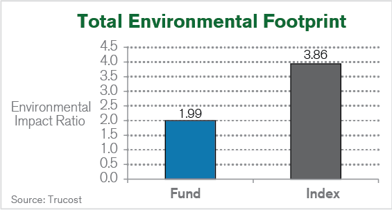 Portfolio 21 Fund Snapshot