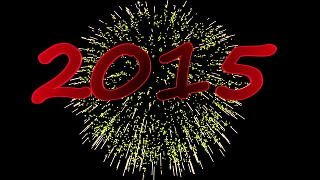 Portfolio Strategies 2015 Investing in an Age of Divergence Portfolio Strategies 2015 Investing in an Age of Divergence