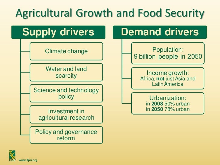 Rapid growth of selected Asian economie and implications for agriculture and food