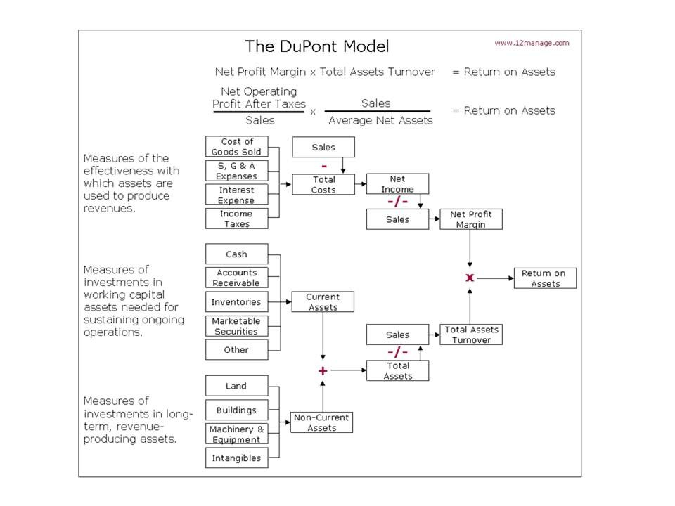 Calculate the Dupont Model for ROI Analysis