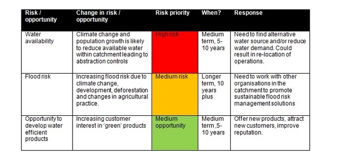 Business Plan Risks