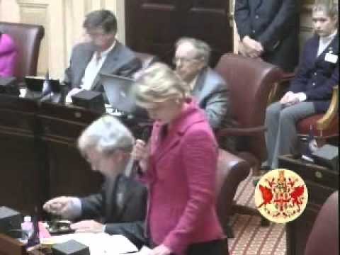 Senate OKs bill giving utilities option on renewable energy Senate OKs bill giving utilities option on renewable energy