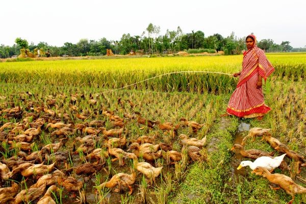 Small Farmers are Feeding the World