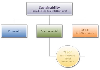 Socially Responsible Investing (SRI)