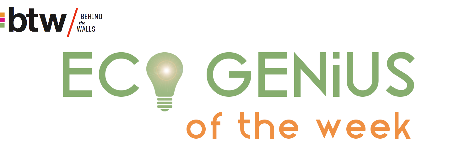 The future of energy investment looks green but should you invest now The future of energy investment looks green but should you invest now