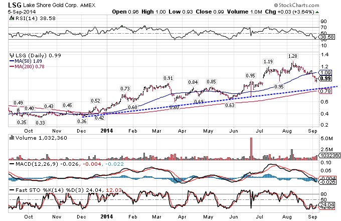 3 Penny Stocks That Are Worth Your Attention (LSG DEJ MGH)