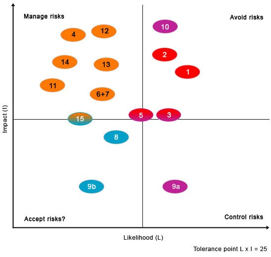 The Risk Matrix Illustrating the Importance of Risk Management Strategies