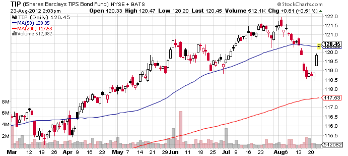 TIPS ETF with Negative Yield