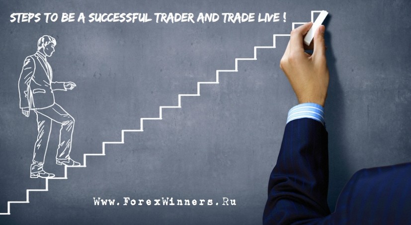 Tips to be a successful forex trader