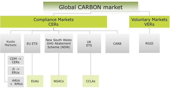 Trading the carbon market