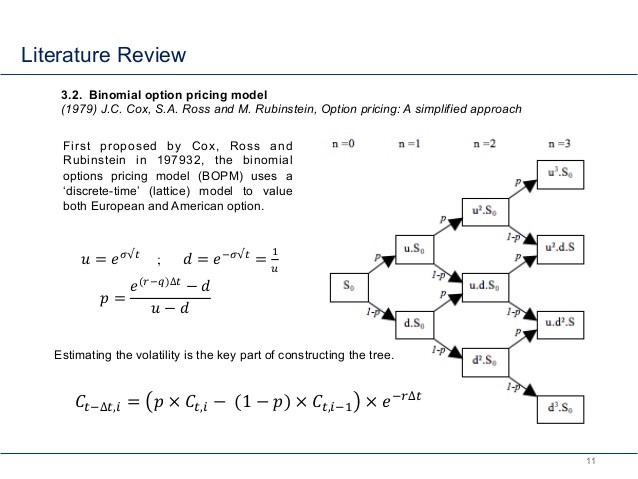 real options valuation inc