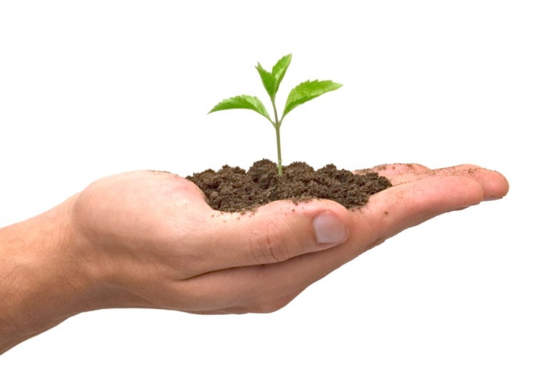 VCs Investing To Heal VCs Investing To Heal