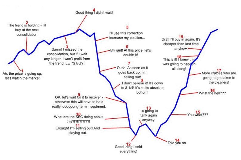 INVESTING EMOTIONS CYCLE THE GREED AND FEAR ON STOCK MARKET