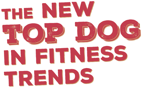 WORLDWIDE SURVEY OF FITNESS TRENDS FOR 2015 What’s Driving ACSM s Health Fitness Journal