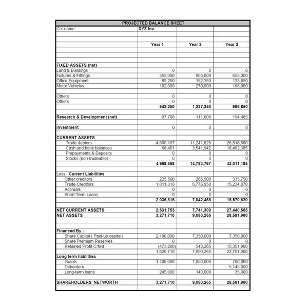 Writing the Business Plan The Cash Flow Projection