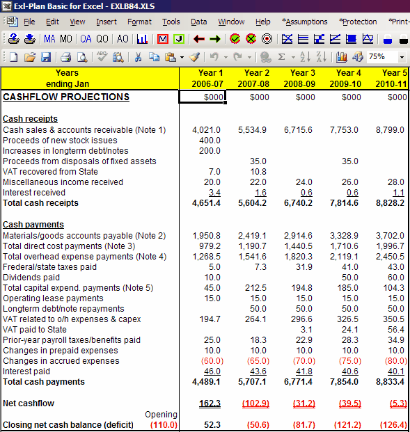 Pro forma cash flow budget template