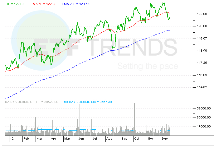 Government Bond Funds and Inflation Protection Funds