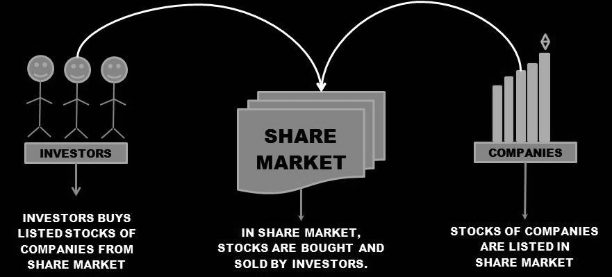 A beginner s guide to the share market