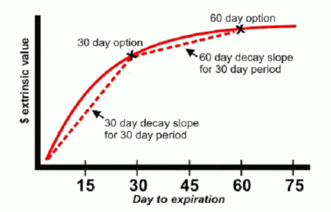 Option Trading