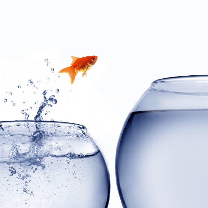 Blockade With Polarity Oscillators MetaTrader Expert Advisor Blockade With Polarity Oscillators MetaTrader Expert Advisor